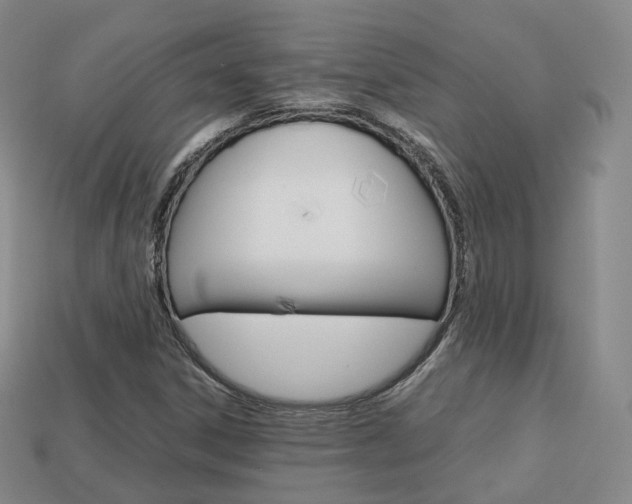 X0000113751306200909230957