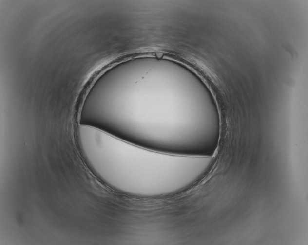 X0000113751308200909230958