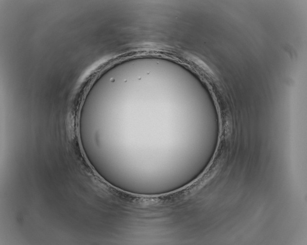 X0000113751310200909230958