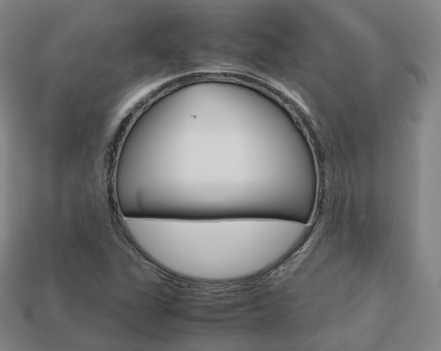 X0000113751311200909230958