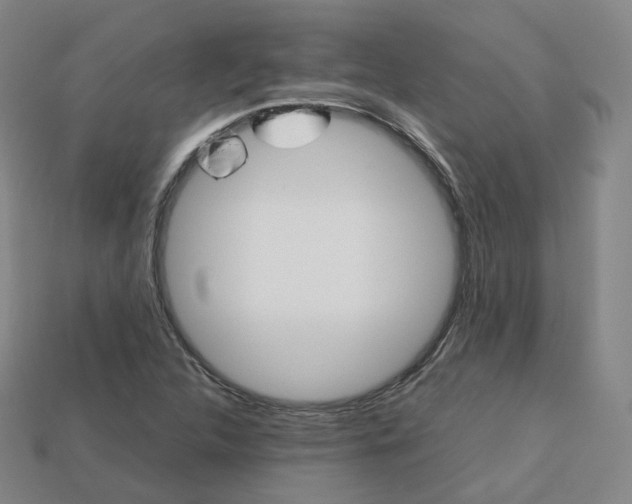 X0000113751312200909230958