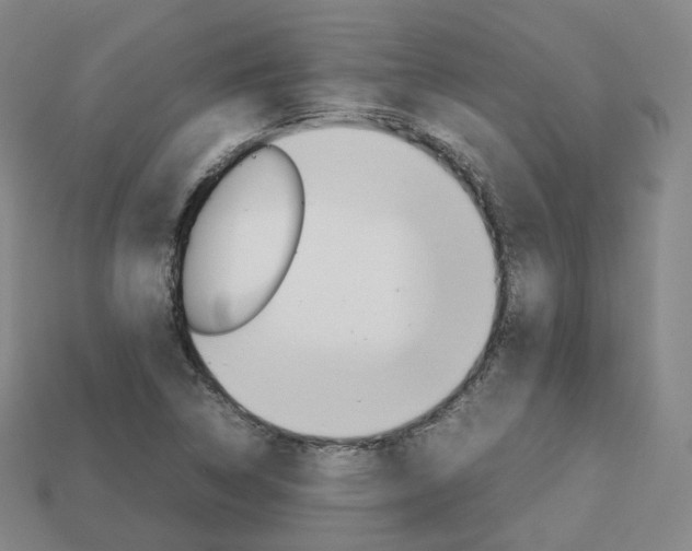 X0000113751314200909230958