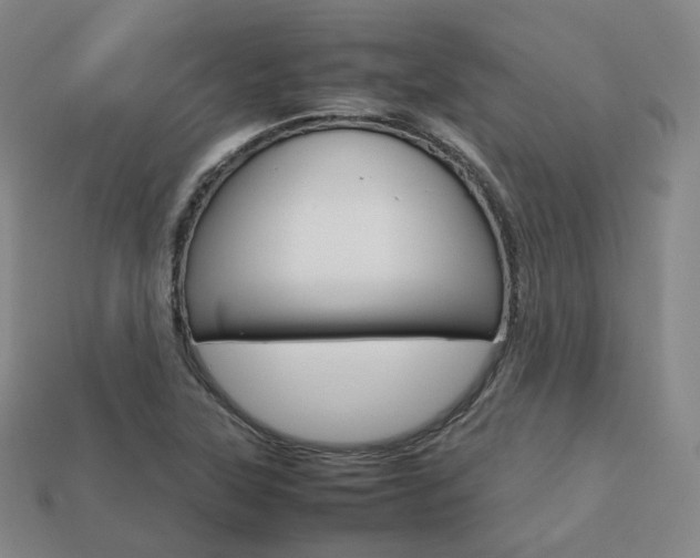 X0000113751315200909230958