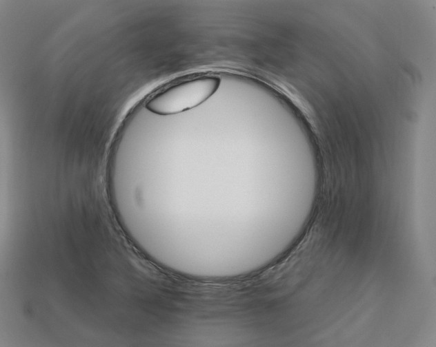 X0000113751316200909230958