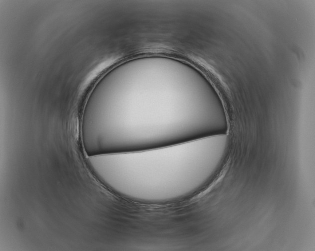 X0000113751317200909230958