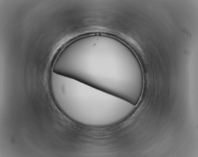 X0000113751318200909230958