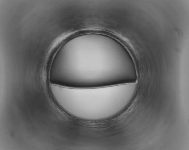 X0000113751319200909230958