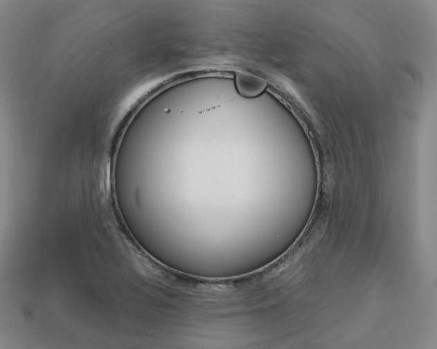 X0000113751320200909230958
