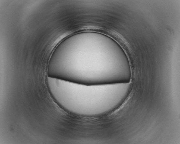 X0000113751321200909230958
