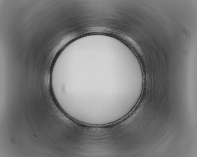 X0000113751322200909230958