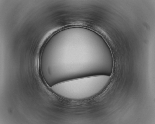 X0000113751323200909230958