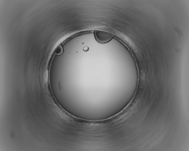 X0000113751324200909230958