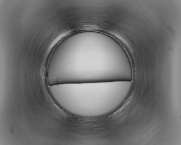 X0000113751325200909230958