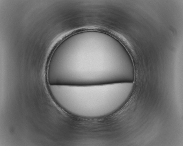 X0000113751327200909230958