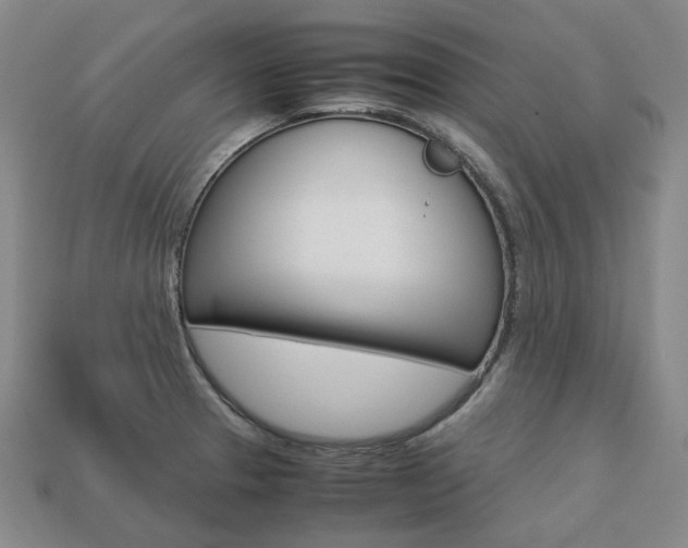 X0000113751329200909230958