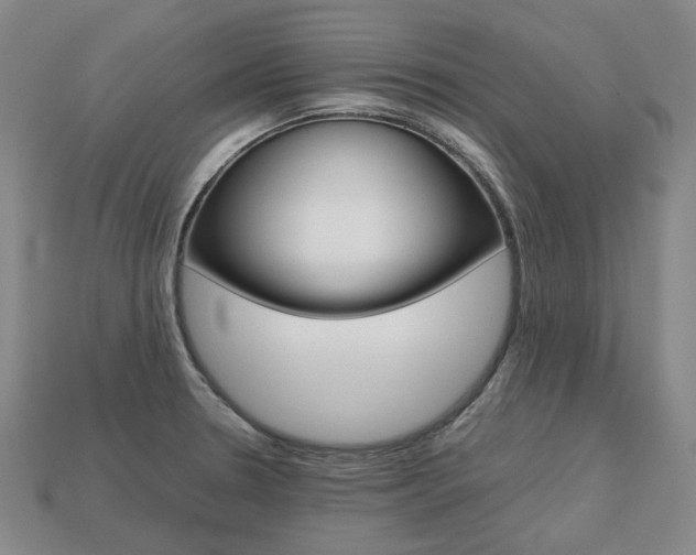 X0000113751330200909230958