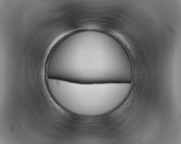 X0000113751331200909230958