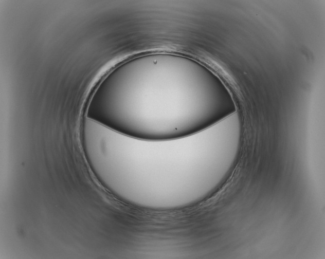 X0000113751332200909230958