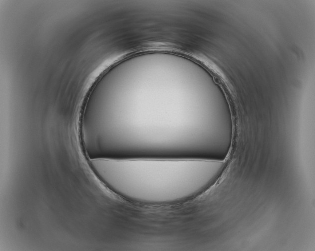 X0000113751333200909230958