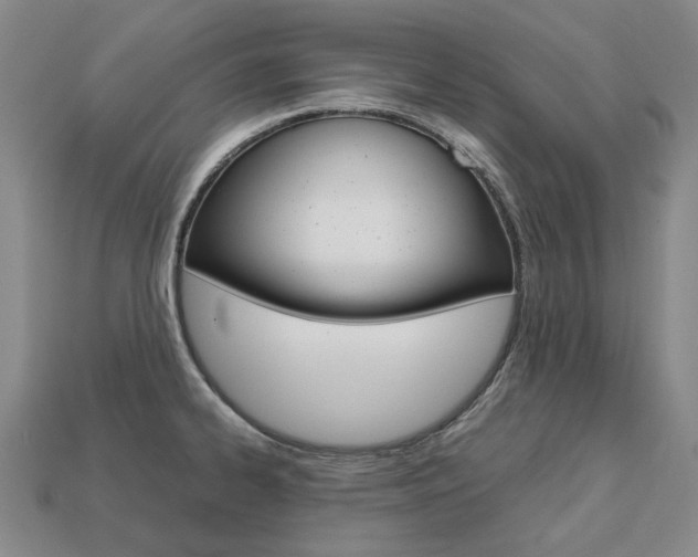 X0000113751334200909230958
