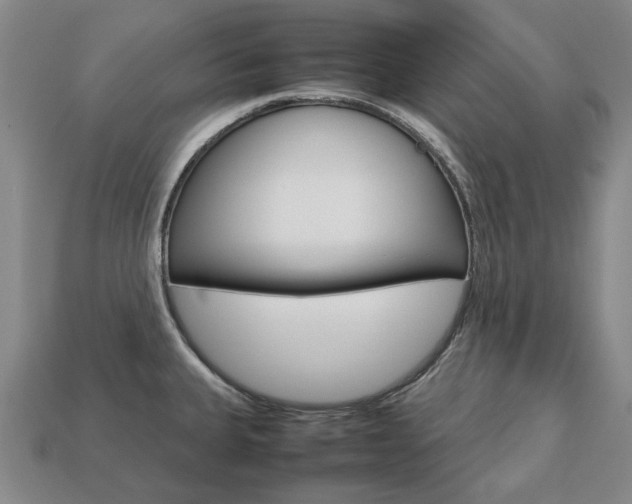 X0000113751335200909230958