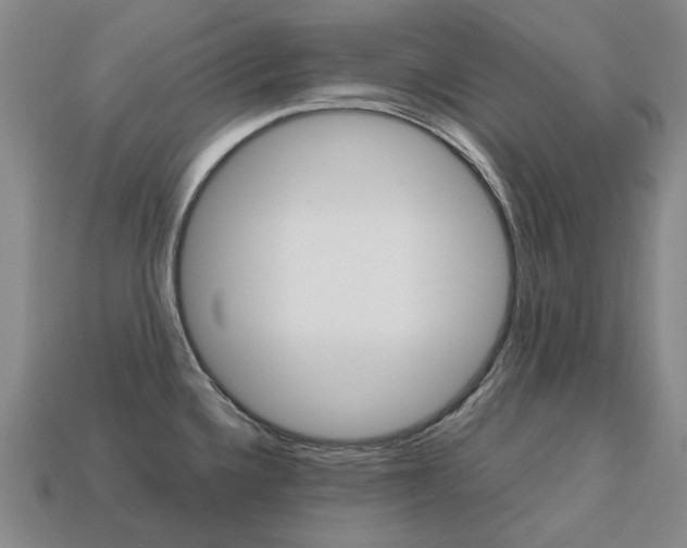 X0000113751336200909230958