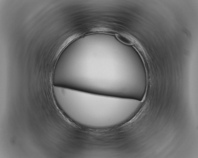 X0000113751337200909230958