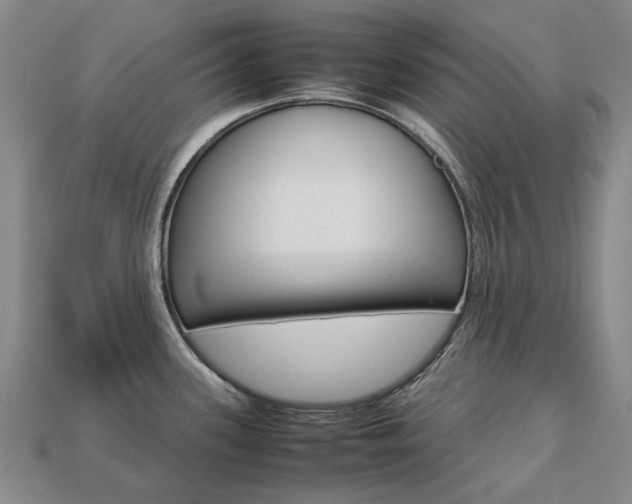 X0000113751339200909230958