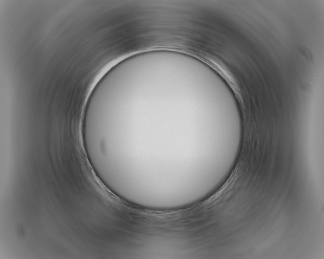X0000113751340200909230958