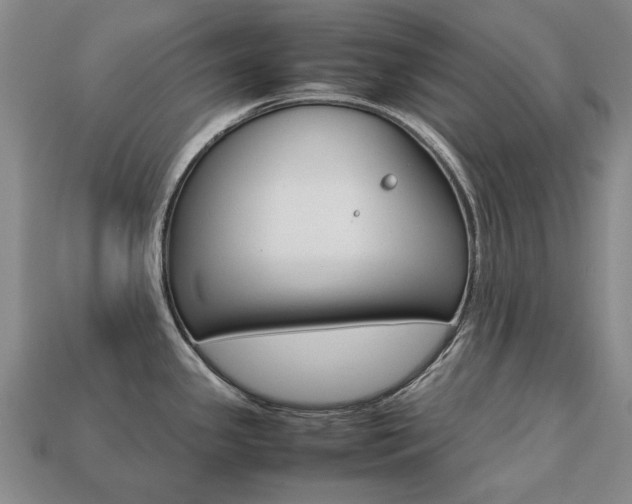 X0000113751341200909230958