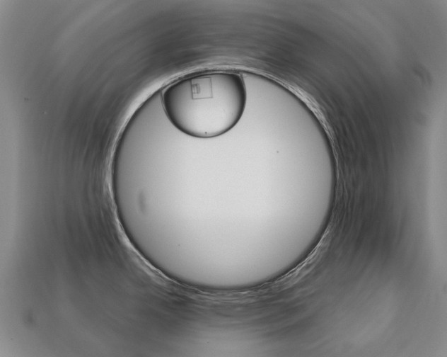 X0000113751342200909230958