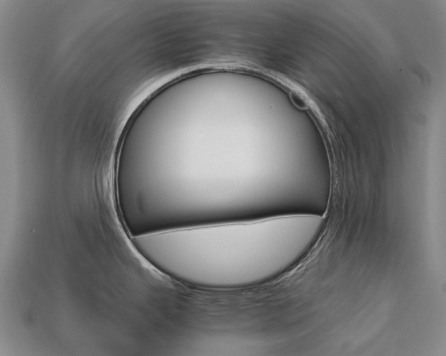 X0000113751343200909230958