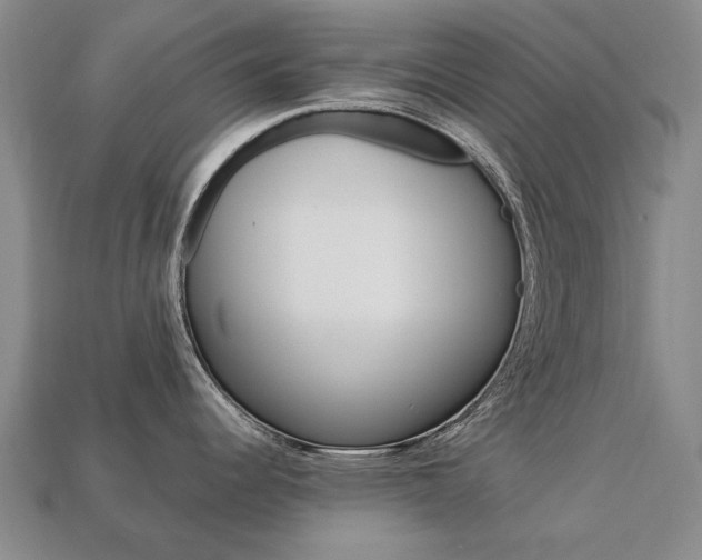 X0000113751344200909230958