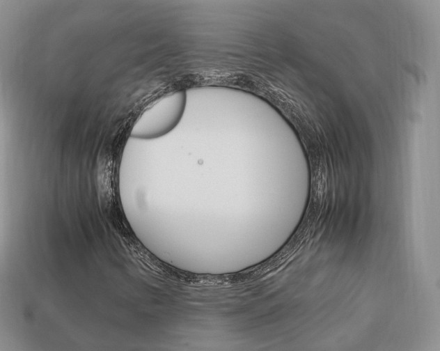 X0000113751346200909230957