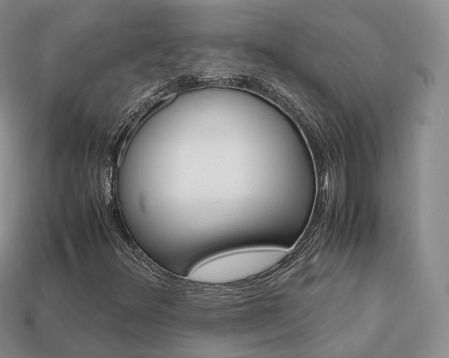 X0000113751348200909230957