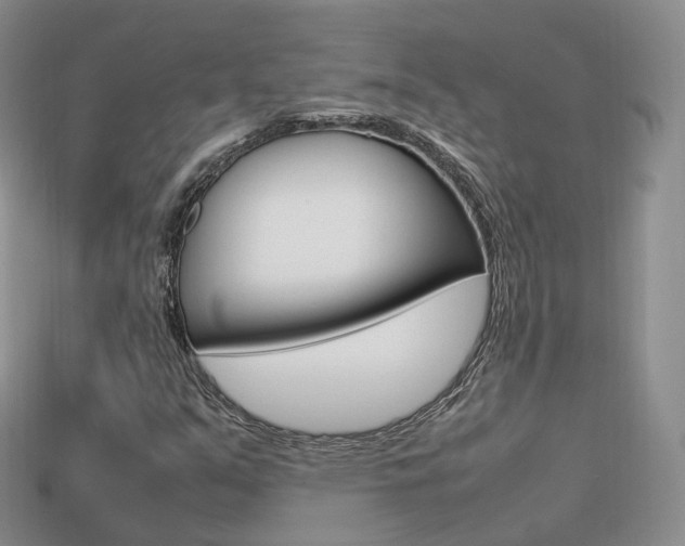 X0000113751351200909230957