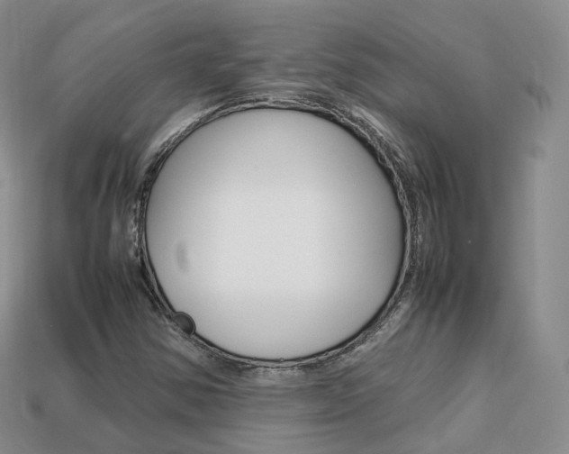 X0000113751354200909230957