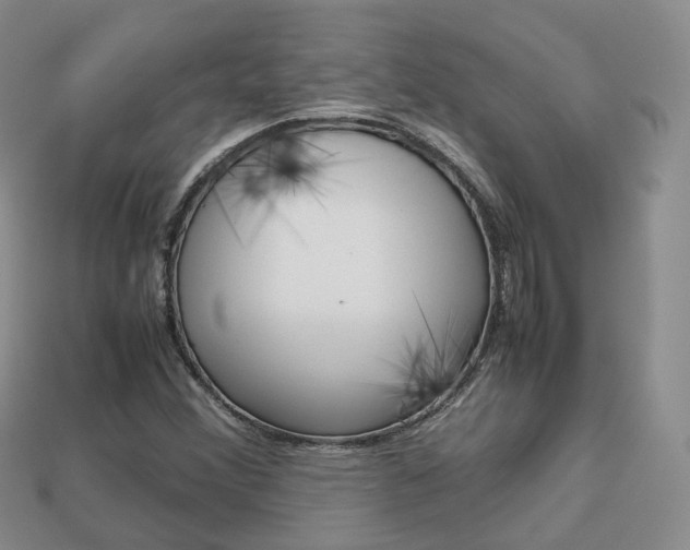 X0000113751356200909230957