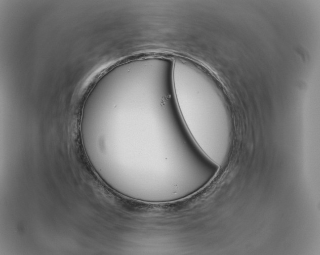 X0000113751359200909230957