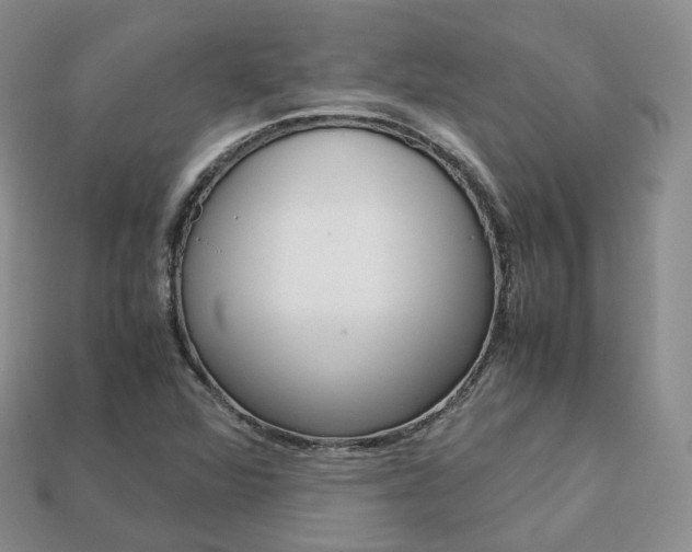 X0000113751360200909230957
