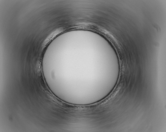 X0000113751362200909230957