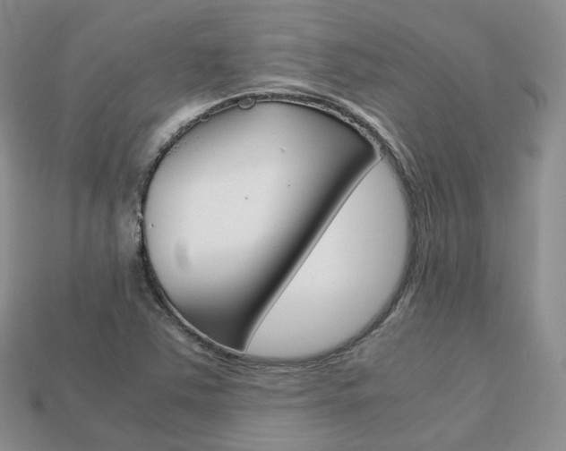 X0000113751363200909230957