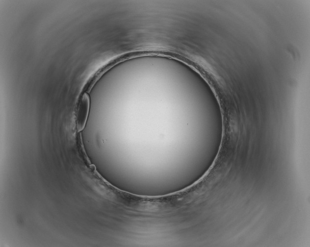X0000113751364200909230957