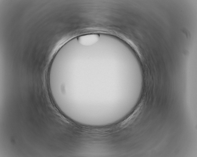 X0000113751365200909230957