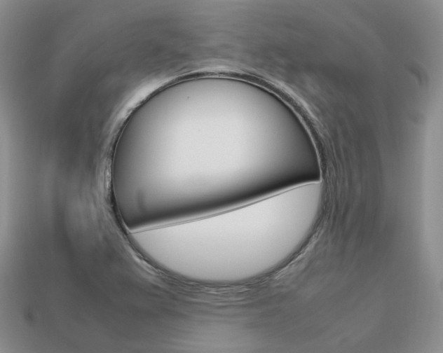 X0000113751367200909230957