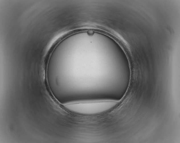 X0000113751368200909230957