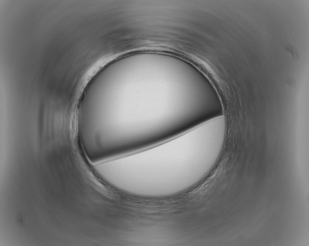X0000113751371200909230957