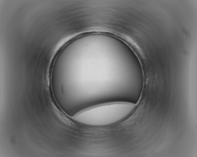 X0000113751372200909230957
