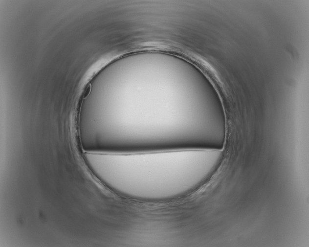 X0000113751373200909230957