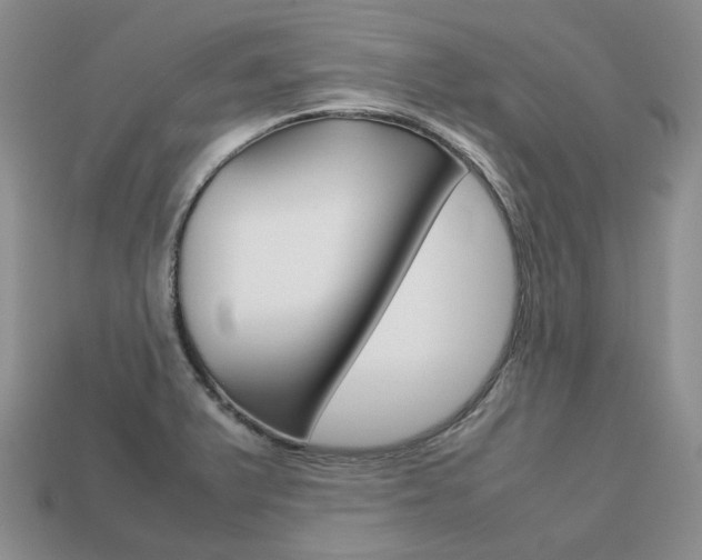 X0000113751375200909230957